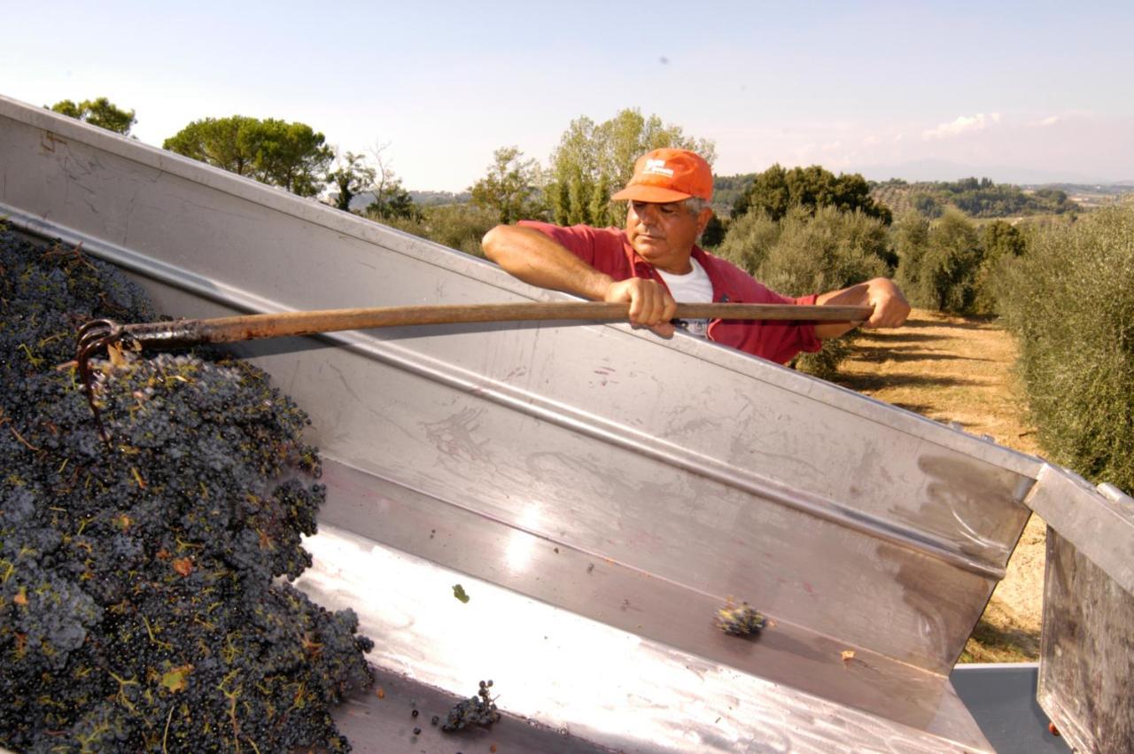 Agriturismo Il Selvino Terricciola Exterior foto
