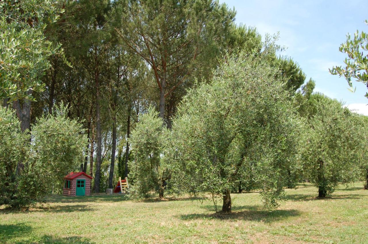 Agriturismo Il Selvino Terricciola Exterior foto
