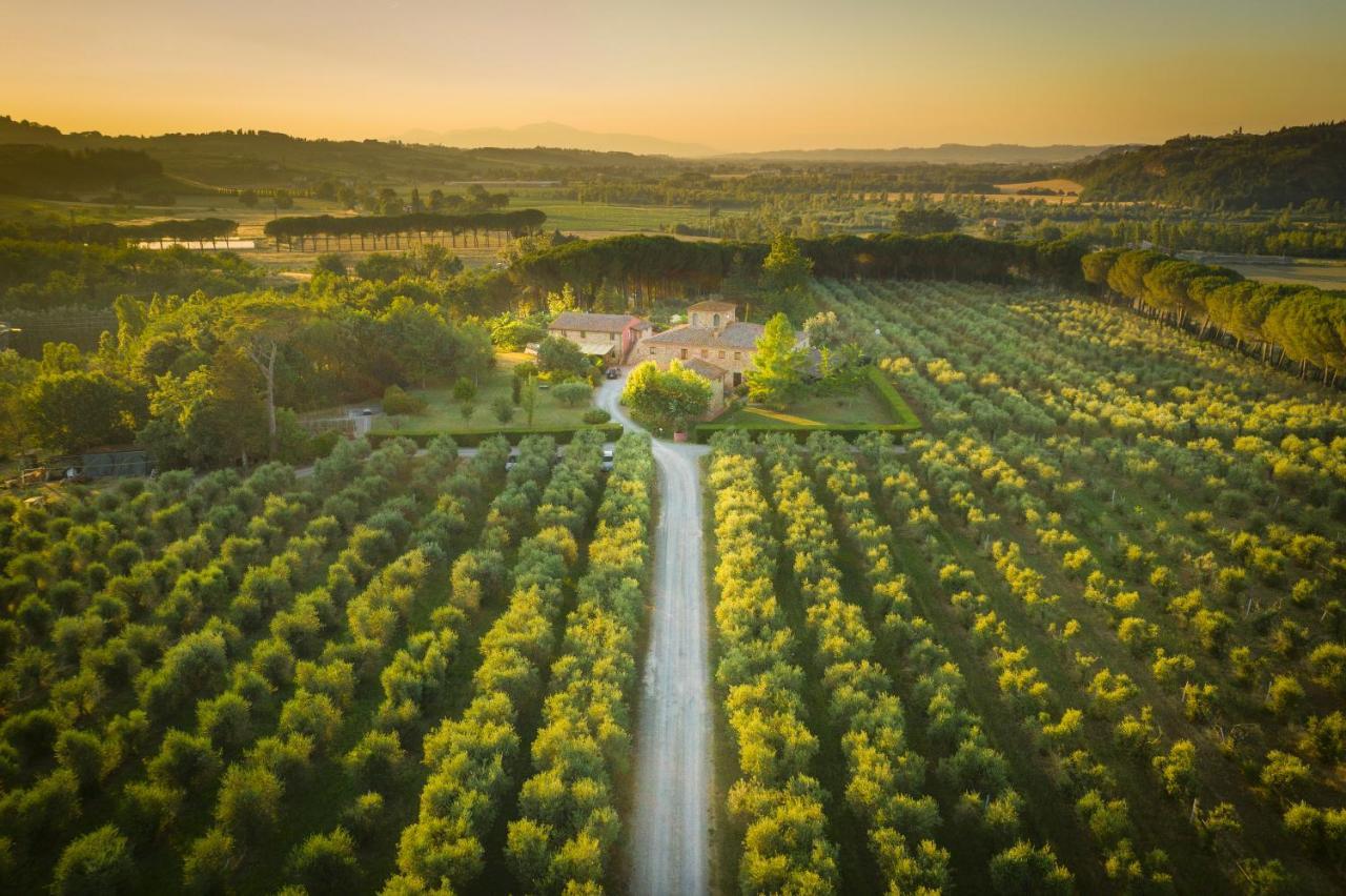 Agriturismo Il Selvino Terricciola Exterior foto